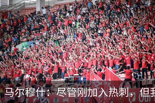 马尔穆什：尽管刚加入热刺，但我对未来充满期待